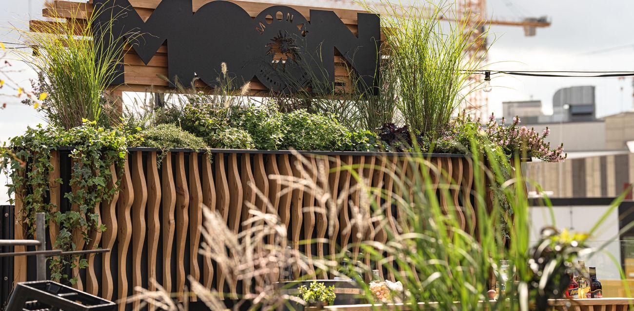 Bartresen MOON 46 gegenüber der Speicherstadt mit verschiedenen Grünpflanzen