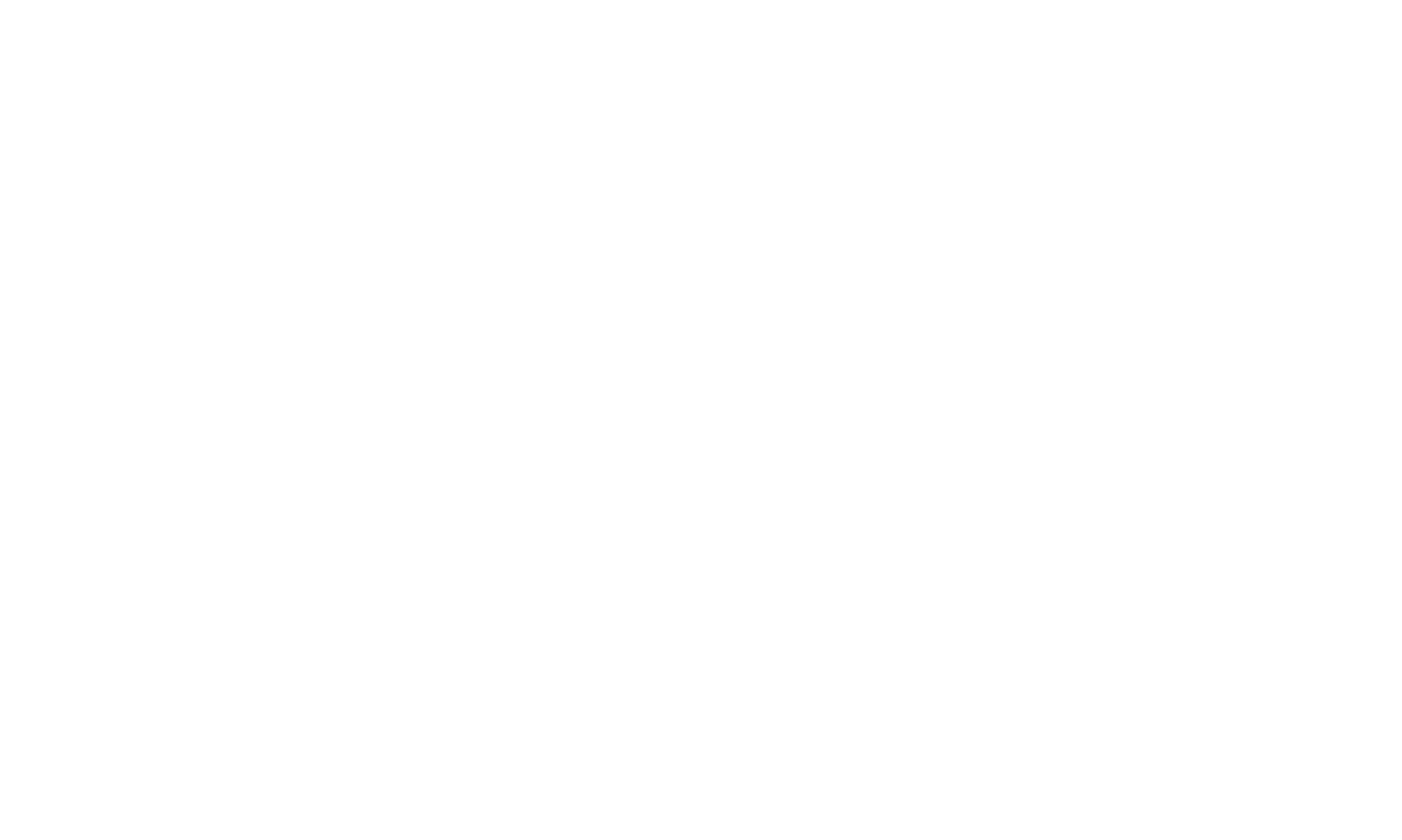 German Design Award Logo 2022