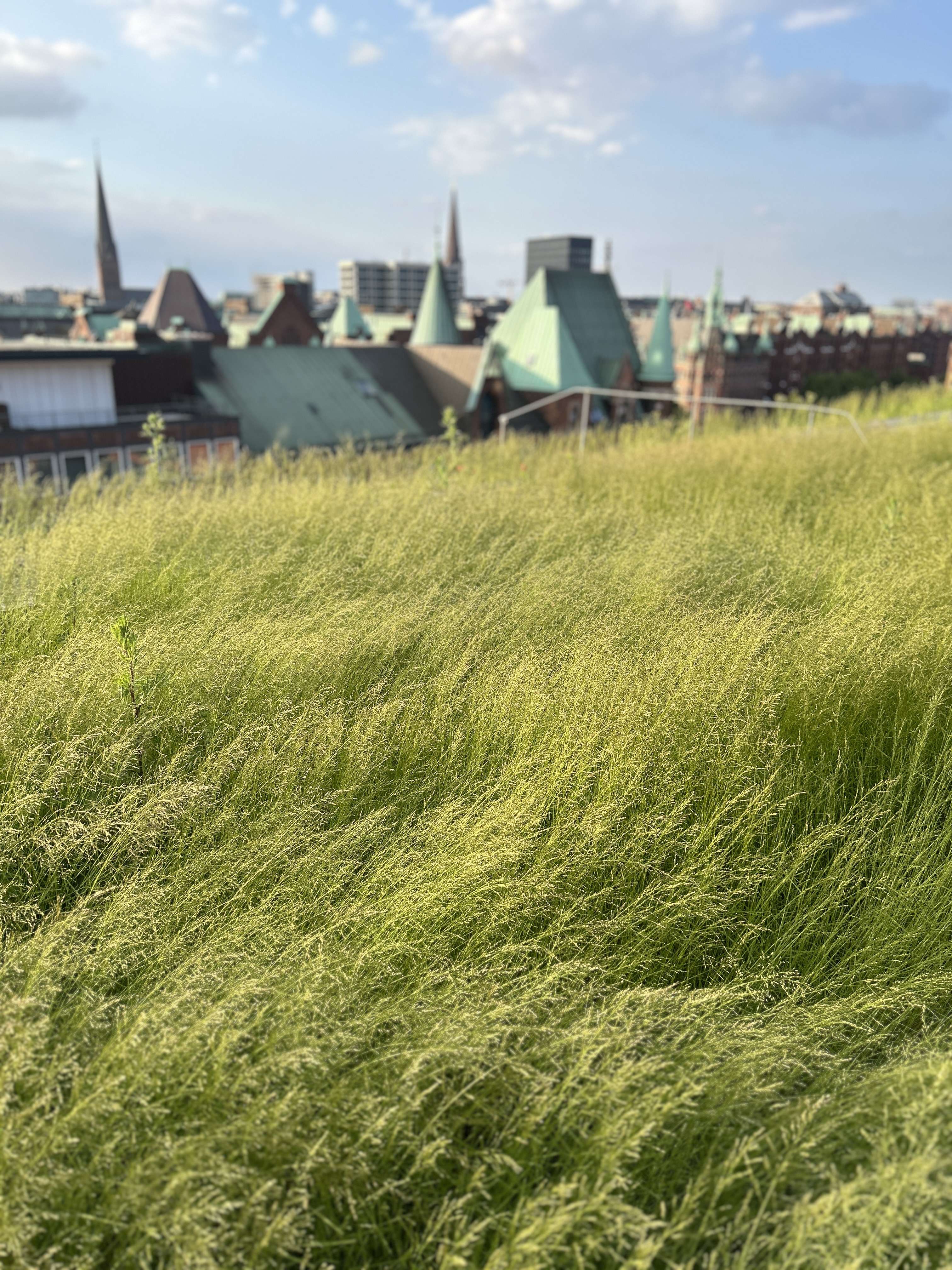 View over the Speicherstadt from MOON 46